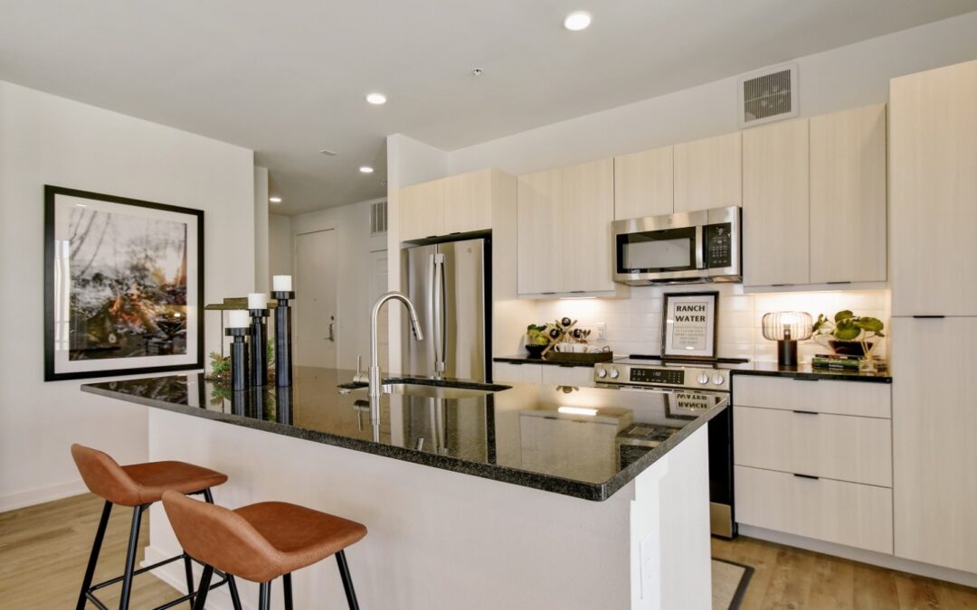 SA1329 – Modern Living in North San Antonio